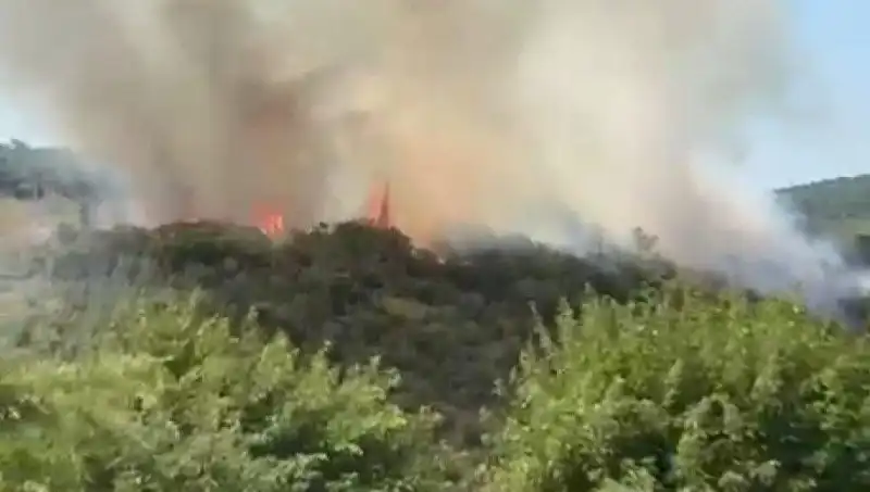 İstanbul’da Orman Yangını: Vatandaşların Tahliyesi Başladı!