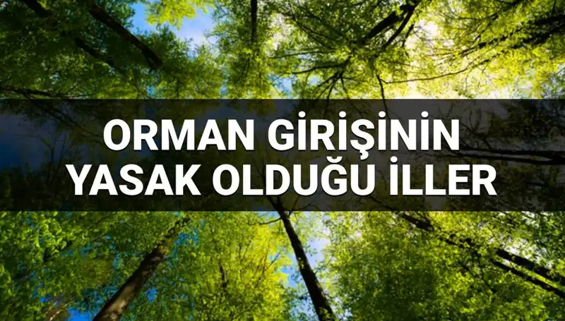 2025'te Hangi İllerde Ormana Girmek Yasaklandı? Detaylar İçin Okuyun!