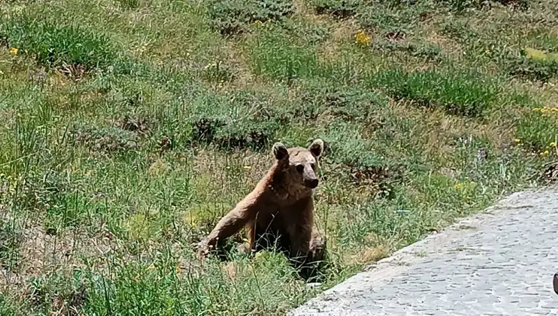 Nemrut Dağı'na Giderken Dikkat! Boza Uyarısı Yapıldı