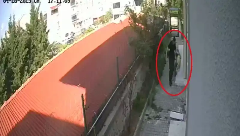 Hayvan Sever Doktorun Şok Edici İnfazı: Köpekleri Evde Parçalamış!