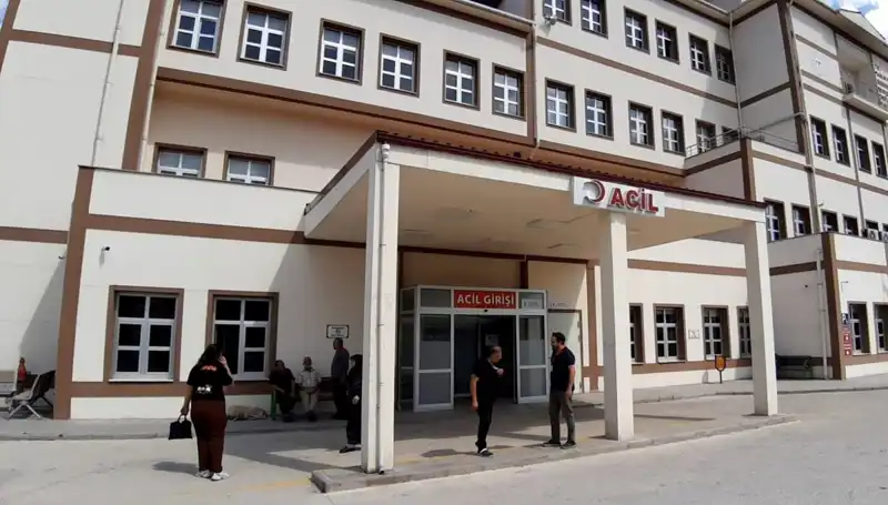 Bolu'da Ayı Avı Kararının Ardındaki Tartışmalar ve Endişeler
