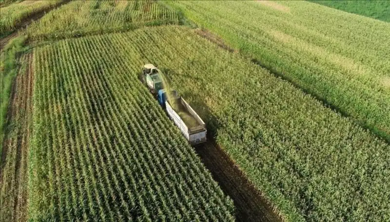 Mart 2025 Mazot ve Gübre Desteği Ödemelerinde Son Durum Açıklandı