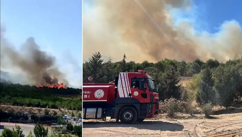 Gebze'de Korkutan Orman Yangını: Yangının Sebepleri ve Etkileri Neler?
