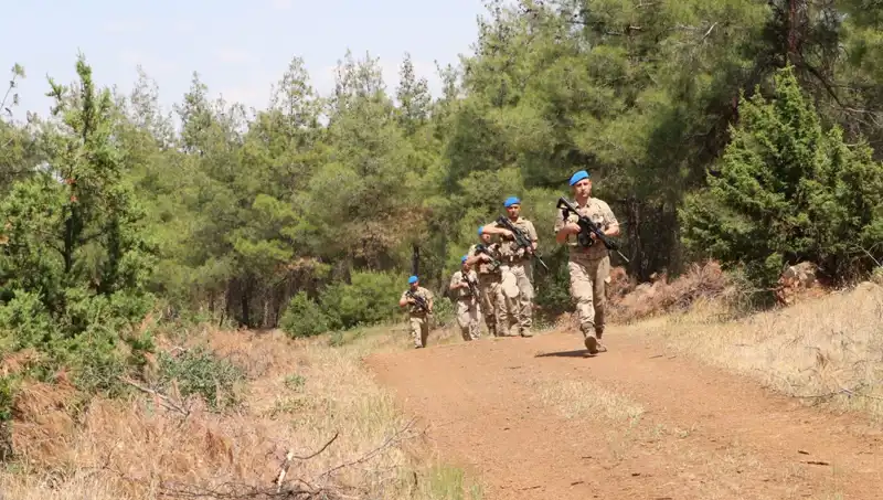 Kilis'te Orman Yangını Denetimi: Doğa Koruma Müdüründen Kritik Adımlar