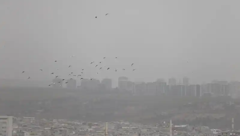 Şanlıurfa'yı Esir Alan Toz Bulutu: Hayatı Durduran Felaket