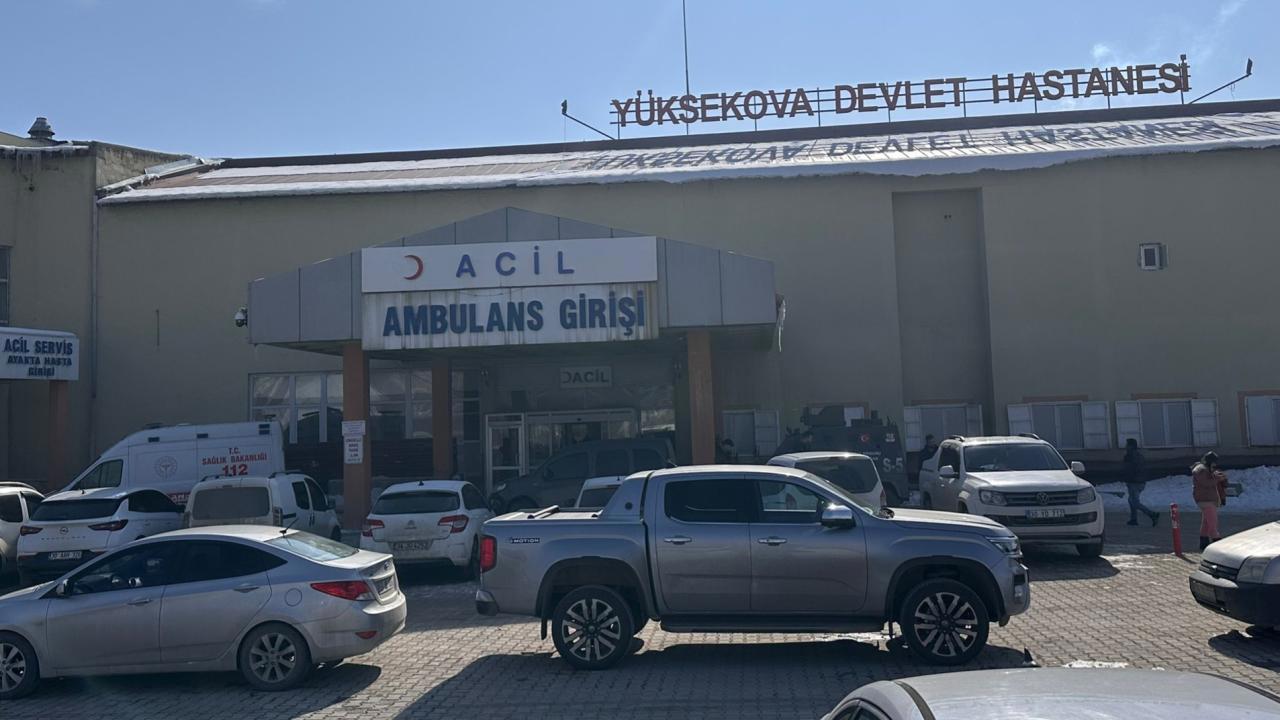 Köpek Saldırısında Hayatını Kaybeden Çocuğun Ölümünde Müfettiş Görevlendirildi