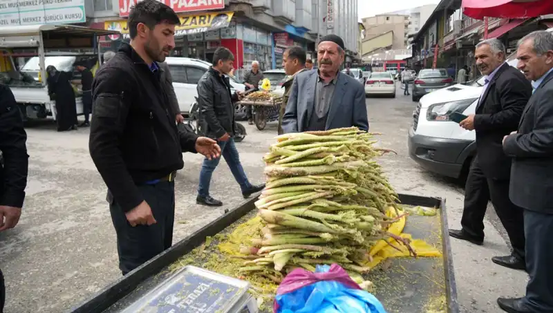 Dağlık Bölgelerin Şeker Mucizesi: Kanser ve Mide Hastalıklarına Çözüm Oluyor