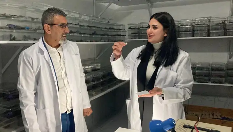 Akrep Zehrini Şekere Damlatıp Yiyen Lezzet: Sağlığa Faydaları ve Riskleri