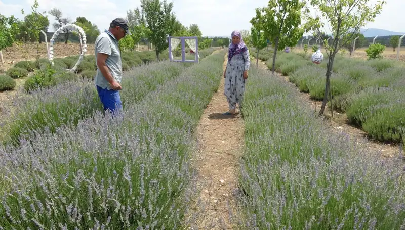 Hobi Olarak Başladılar, Şimdi Geçim Kaynağı Haline Geldi