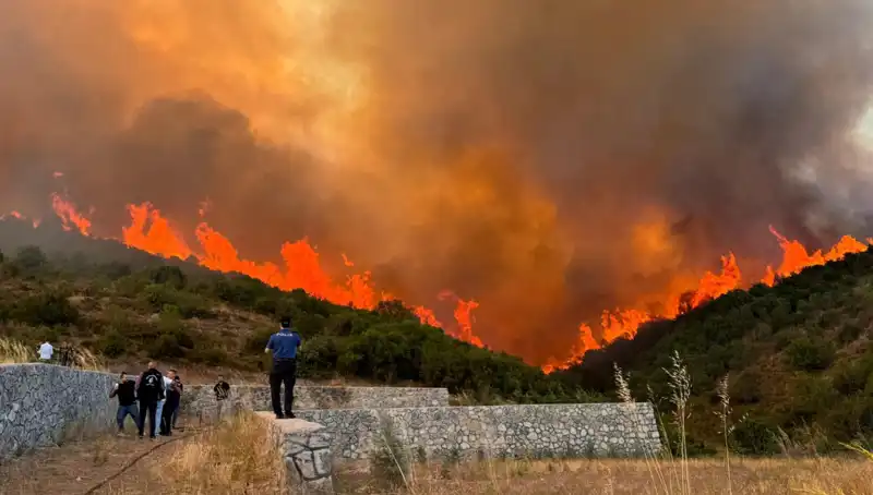 Bursa, Kocaeli ve İzmir'de Orman Yangınları: Doğa Felaketi