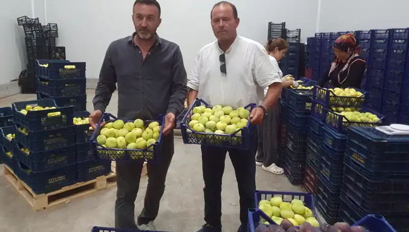 Mersinli Çiftçilerin Yüzü Güldü: İhraç Edilen Ürünler Artık 20 TL