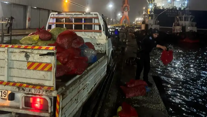 Kaçak Midye Operasyonu: Güvenlik Güçlerinden Çarpıcı Başarı