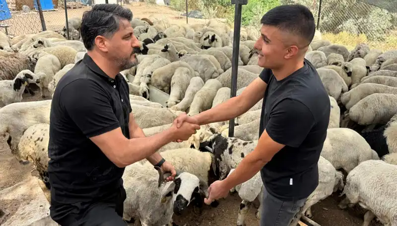 Kurbanlık Koyun Alırken Dikkat Edilmesi Gereken 5 Önemli Nokta