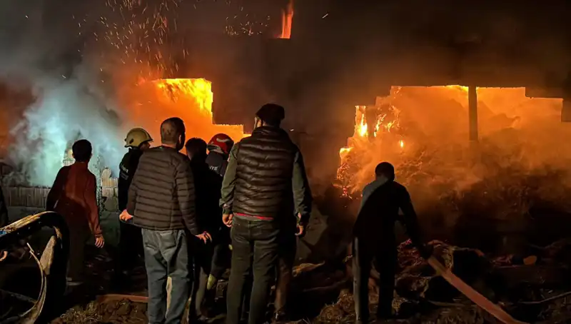 Bolu’da Çıkan Korkunç Ahır Yangını, Hayvanları Tehdit Etti!