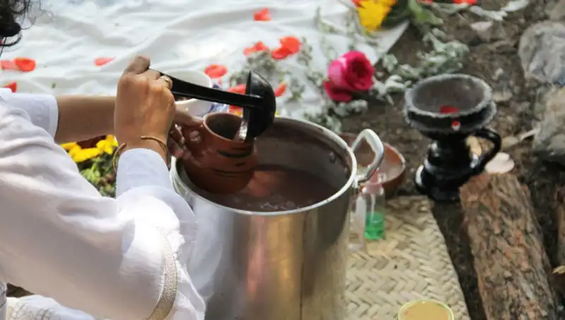 Ayahuasca Nedir? Yasak mı, Yoksa Ruhsal Bir Şifa Aracı mı?