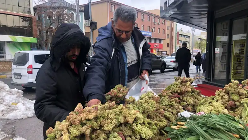 Kendiliğinden Yetişen Bir Mucize: Kanserle Savaşta Yeni Umut