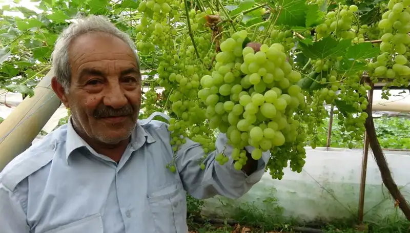 Zirai Donun Meyve Fiyatlarına Etkisi: İlk Ürünler 250 TL!
