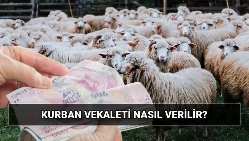 Vekaletle Kurban Kesimi: Diyanet İle 2025 Yılı Fiyatları ve Süreci