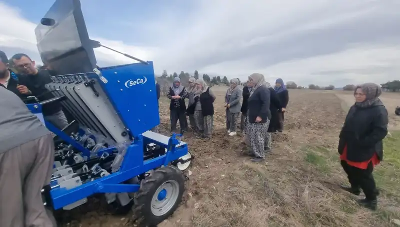 Domaniç’te Ata Tohumu Sarımsak Üretiminde Yenilikçi Adımlar Atıldı