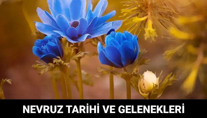 Nevruz Bayramı: Gelenekleri ve Kutlama Zamanı Hakkında Bilgiler