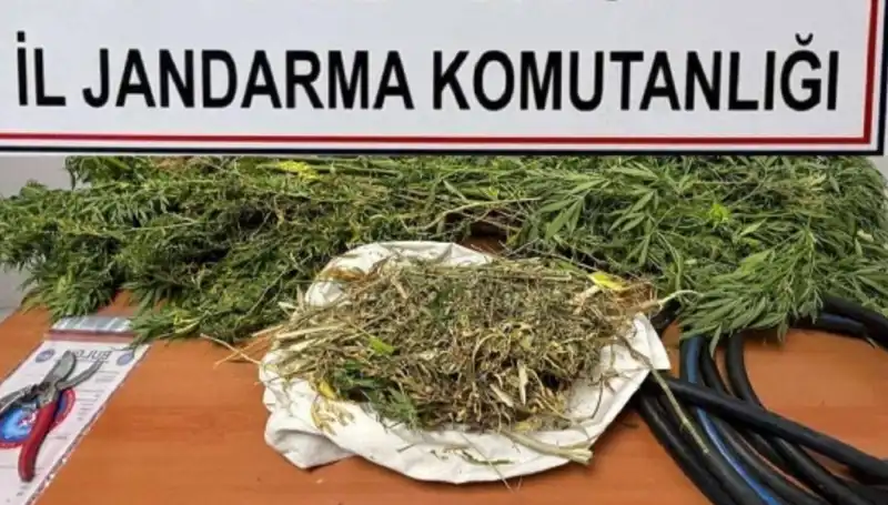 Niğde'de Büyüyen Uyuşturucu Çetelerine Baskın: 15 Gözaltı!