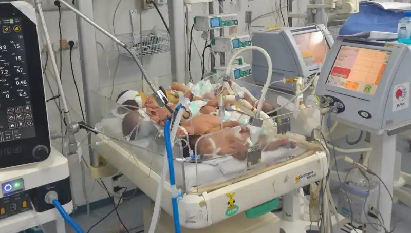 Gazzeli Doktorların Çaresizliği: Kuvözlerde Birden Fazla Bebek
