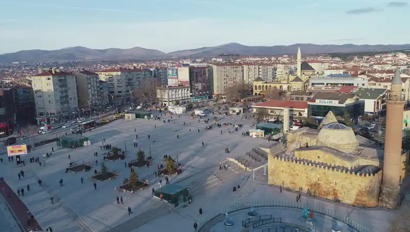 Kırşehir'de Bilim Dünyasını Şaşkına Çeviren Yeni Bir Böcek Türü Keşfedildi