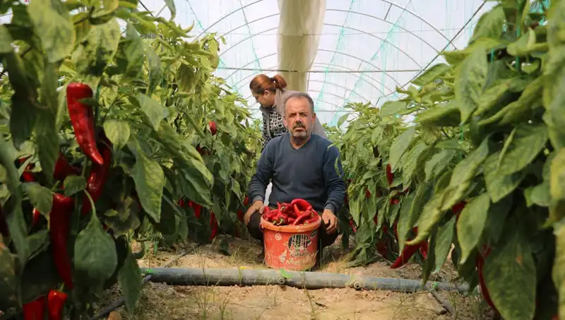 İnanılmaz Artış! 50 TL Olan Ürün Neden 80 TL’ye Satılıyor?
