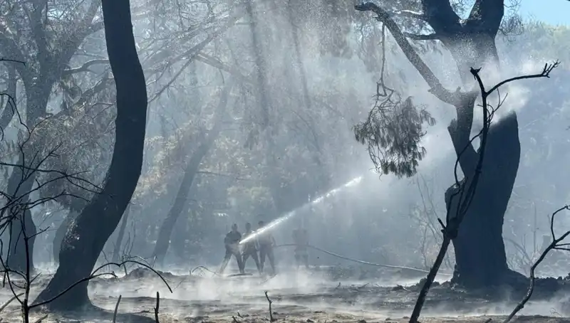 Çanakkale, Antalya ve Hatay’da Dört Gün Sürdü, Yangınlar Nihayet Kontrol Altında!
