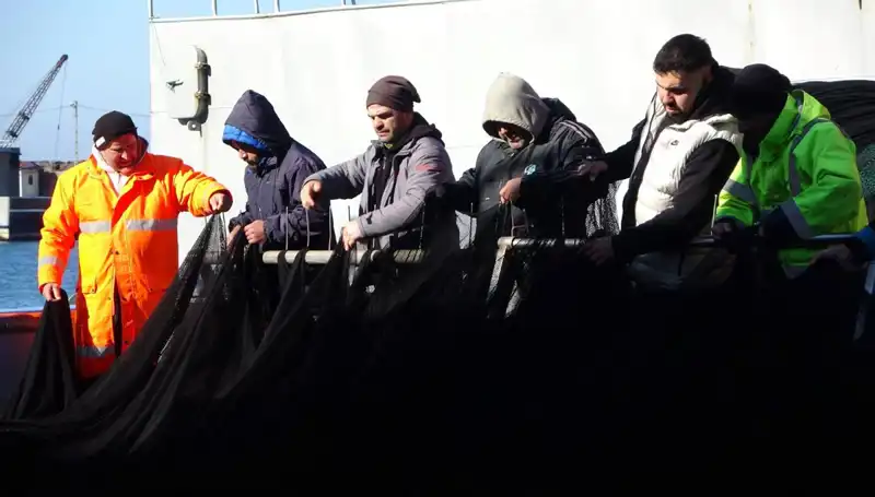 Hamsi Avında Şok Gelişme: Tekne Sahipleri Erken Sezonu Kapattı