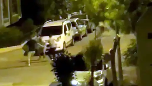 Avcılar’da 3 Kişinin Saldırdığı Adamı Çevredekiler Kurtardı: Olay Anı