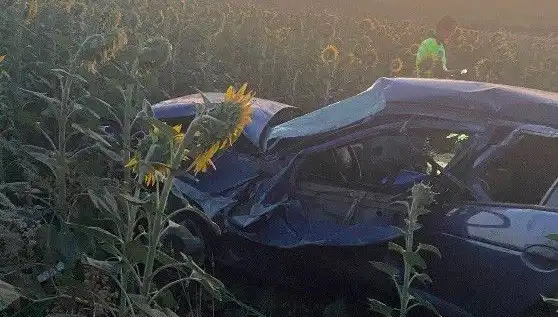 Otomobil Ayçiçeği Tarlasına Devrildi: Yaralananlar ve Kaza Sebepleri