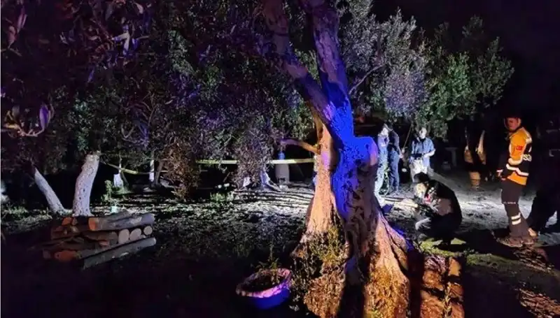 Çiftlikteki Baltalı Vahşet Olayında Şok Tutuklama Gerçekleşti