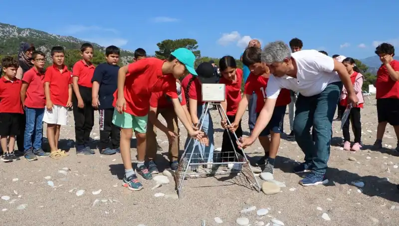 Kemer'de Caretta Caretta Koruma Yasakları: Plajlar Kapatıldı!