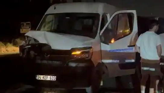 İstanbul’da Manda Kazası: Üç Kişi Yaralandı, Olayın Sırrı Ne?