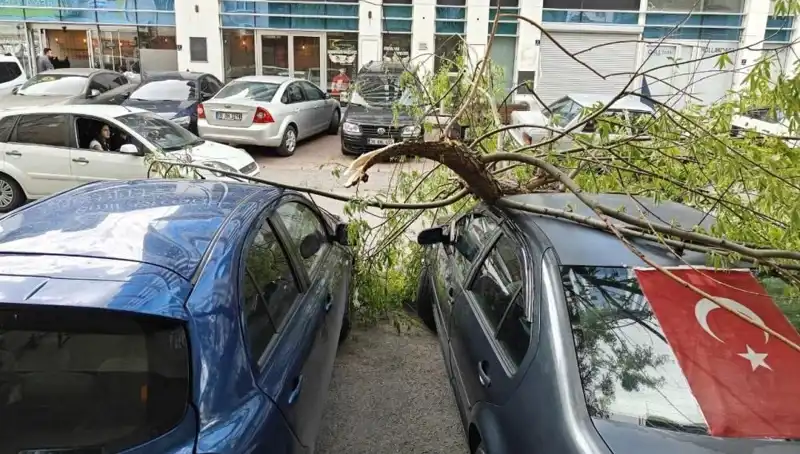 Kayseri'de Fırtınanın Ardında Yıkıcı Etkiler: Dalları Kırıldı!